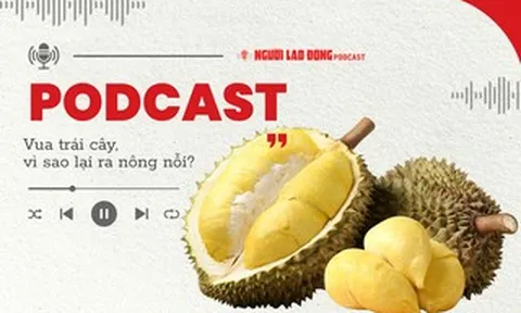 Sầu riêng - "vua" trái cây: Vì sao ra nông nỗi?
