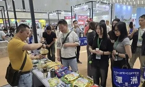 Sức hút của thị trường cà phê Trung Quốc