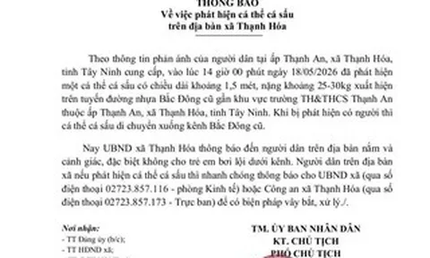 Tây Ninh phát cảnh báo khẩn vì cá sấu xuất hiện