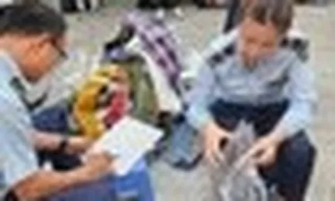 Một công ty bị phát hiện kinh doanh gần 2.000 sản phẩm thời trang nghi hàng hiệu giả