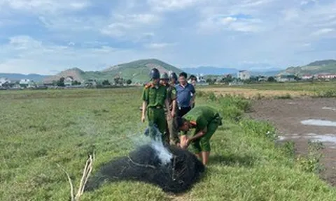 Lưới bẫy đánh bắt chim trời xuất hiện trên cánh đồng Quảng Trị