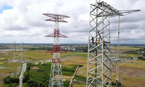 VNECO bác tin tham gia dự án 500kV mạch 3, lên tiếng việc hủy niêm yết bắt buộc