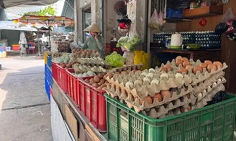 Lao đao vì giá trứng giảm sâu
