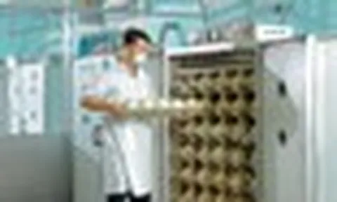 Trung tâm làm ra quả trứng nặng 1,5kg giá nửa triệu của một đại gia Việt: Chi phối 60% thị phần, công nhân phải canh hứng từng quả trứng