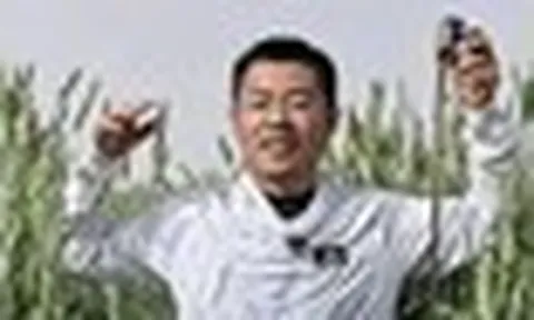 Phát hiện loại lúa lạ cao hơn con người, được trồng la liệt ở vùng đất gần 700 ha, mỗi năm thu 40.000 tấn