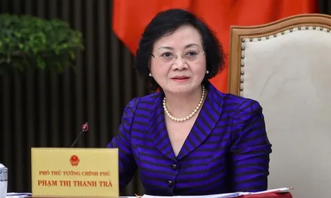 Phó Thủ tướng Phạm Thị Thanh Trà làm Trưởng BCĐ quốc gia về phát triển ngành dược Việt Nam