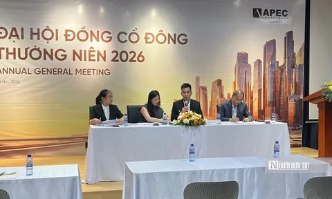 API sau biến cố: Bao giờ cho đến ngày xưa?