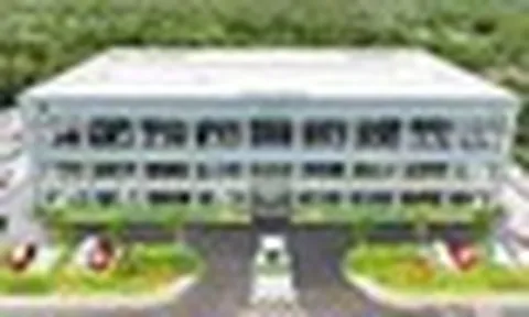 2 doanh nghiệp của THACO bị Bộ Thương mại Mỹ áp thuế chống bán phá giá 186,84%
