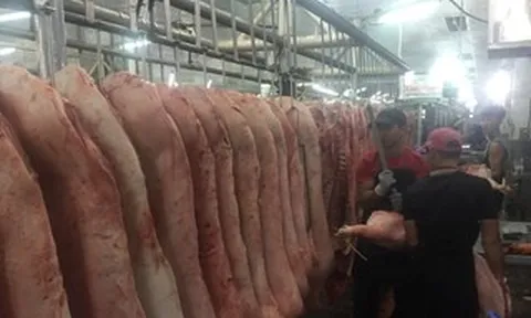 Giá heo hơi hôm nay, 23-6: Điều chỉnh giảm