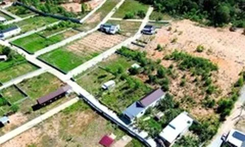 Phú Quốc tạm dừng chuyển mục đích sử dụng đất, siết phân lô tự phát