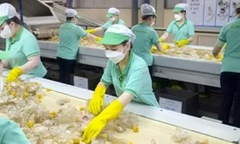 'Chiếc áo mới' của EPR