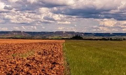 WMO nâng dự báo: Sẽ có El Nino cường độ mạnh, cảnh báo nhiệt độ toàn cầu tăng cao