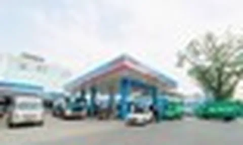 Hơn 1.000 cây xăng PVOIL sẽ thu gom dầu ăn đã qua sử dụng