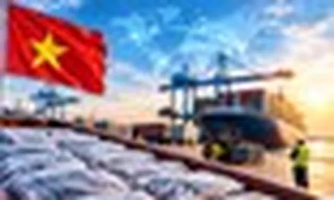 Tin vui cực lớn đến từ Brazil, Nhật Bản, Ả Rập Xê Út, mở ra “cơ hội vàng” cho Việt Nam