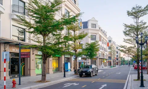 Tâm điểm giao thương Móng Cái: Chính sách tài chính khác biệt tạo lợi thế khai thác sớm