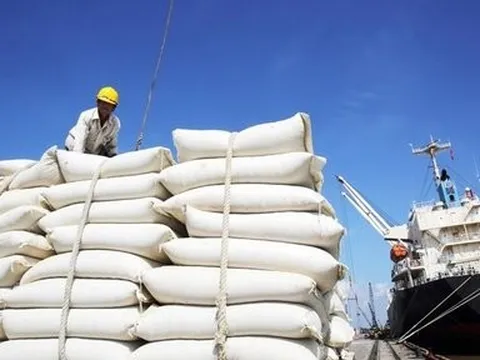Là "cường quốc" xuất khẩu gạo, vì sao Việt Nam phải nhập gần 1 triệu tấn gạo?