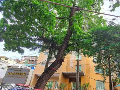 Hacisco chịu mức phạt và truy thu hơn 2 tỷ đồng tiền thuế