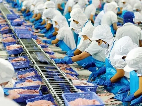 Nữ hoàng cá tra Vĩnh Hoàn "hụt hơi"