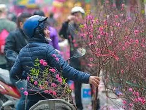 Nghỉ Tết Nguyên đán Giáp Thìn 7 ngày liên tục