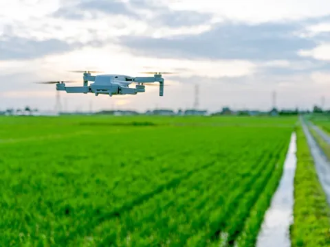 Nông nghiệp thông minh của Nhật Bản dựa vào trí tuệ nhân tạo, máy bay không người lái