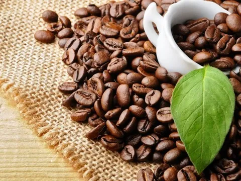 Giá nông sản 26/8: Cà phê Robusta đạt mức cao kỷ lục, hồ tiêu duy trì ổn định