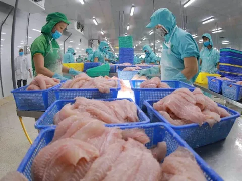 Thị trường khởi sắc, cá tra Việt Nam được kỳ vọng bứt phá tại Trung Quốc