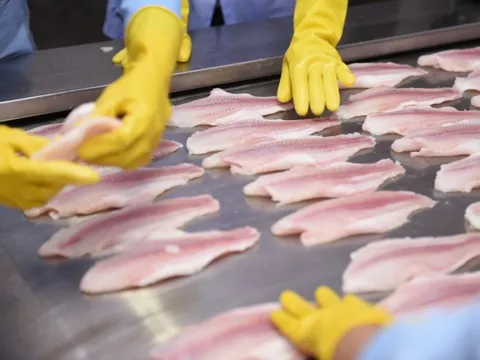 Việt Nam rộng cửa xuất khẩu cá tra sang Brazil