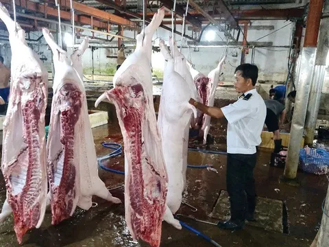 Lộ sai phạm kiểm soát tại lò mổ heo cho Công ty C.P Việt Nam