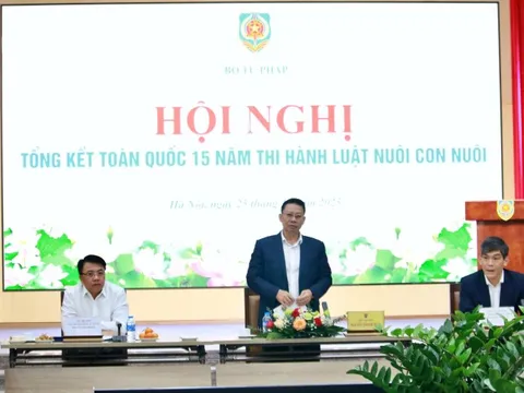 Hơn 4.700 trẻ em Việt Nam được giải quyết làm con nuôi ở nước ngoài