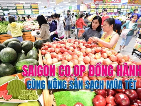 Saigon Co.op đồng hành cùng nông sản sạch mùa Tết
