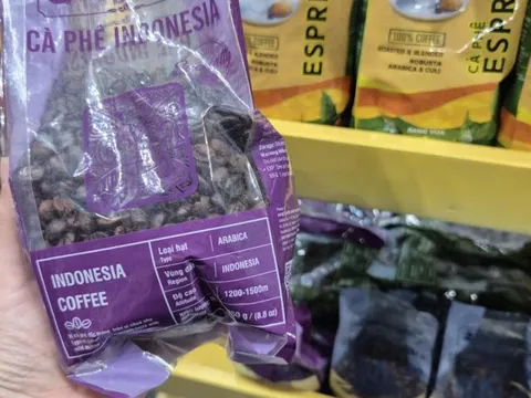 Giá cà phê hôm nay 29-12: Vì sao Việt Nam chi hơn nửa tỉ USD nhập cà phê?