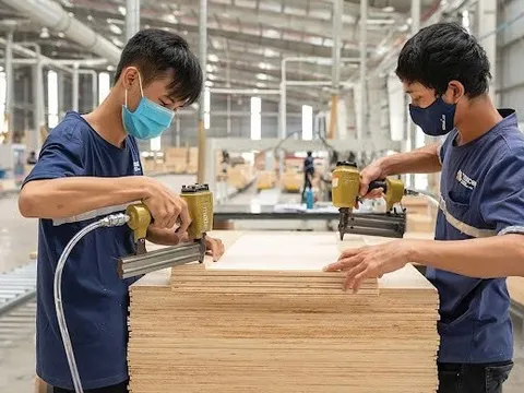 Mỹ bất ngờ hoãn tăng thuế với gỗ nhập khẩu theo Mục 232