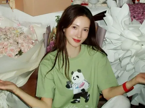 Nữ diễn viên nổi tiếng bị tố gây tai nạn giao thông rồi bỏ trốn