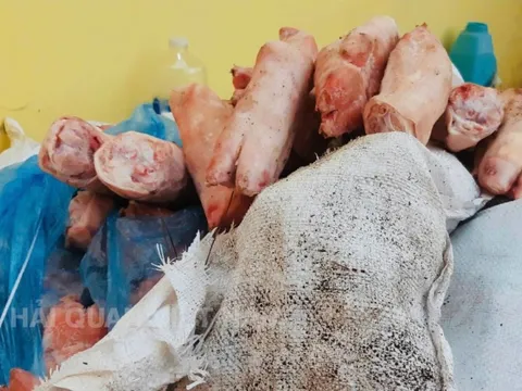 1.000kg chân lợn bốc mùi, 220kg xúc xích đông lạnh vừa bị thu giữ