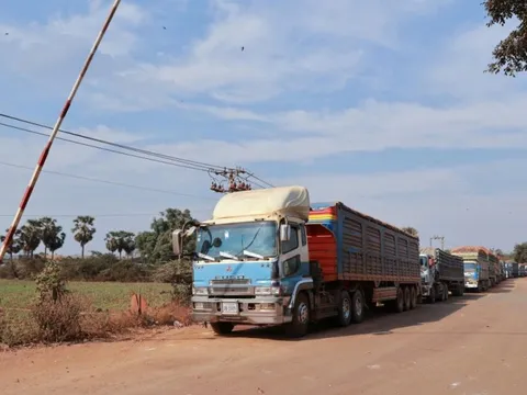 Ùn ứ 700 lô hàng nông sản, thực phẩm nhập khẩu, Bộ Nông nghiệp và Môi trường lên tiếng