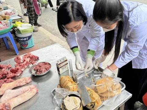 Kiểm tra an toàn thực phẩm bếp ăn và thức ăn đường phố