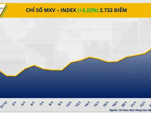 THỊ TRƯỜNG HÀNG HÓA: Dòng tiền đổ mạnh, MXV-Index lập đỉnh cao mới