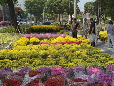 Không còn cảnh hét giá, người dân TPHCM tấp nập đi mua hoa Tết sớm