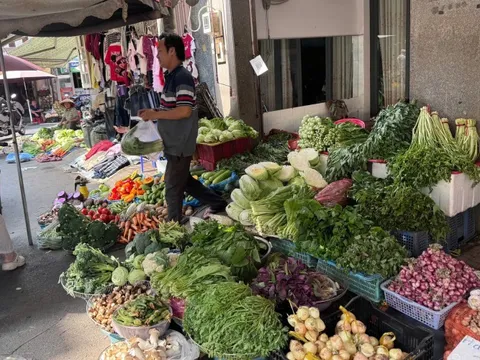 Rau củ quả dồi dào dịp Tết