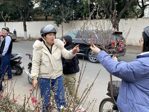 Không khí lạnh tràn về mùng 2 Tết, trời chuyển rét