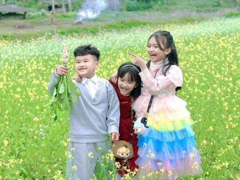 Hoa cải nhuộm vàng, gọi bước chân du xuân