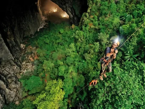 Gần 4.400 loài động, thực vật được ghi nhận ở Phong Nha - Kẻ Bàng