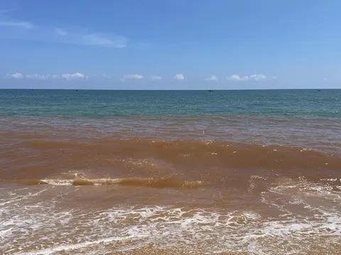 Nước biển ở Gia Lai bất ngờ đổi màu đỏ lạ, người dân lo ngại