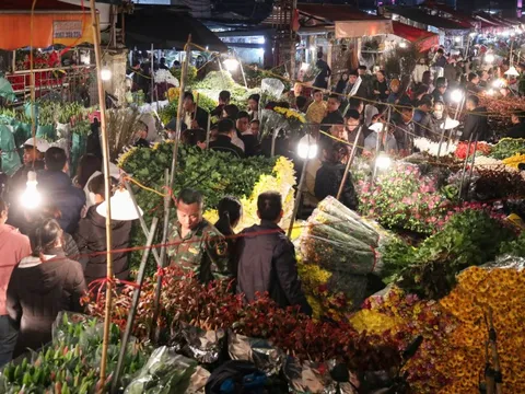 Đêm không ngủ tại chợ hoa Tết lớn nhất Hà Nội