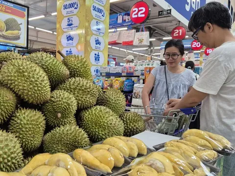 Giá sầu riêng ngược dòng nhiều loại nông sản