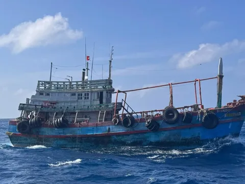 Cảnh sát biển bắt giữ tàu vận chuyển dầu D.O trái phép