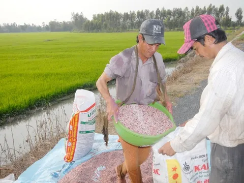 Xung đột Trung Đông khiến giá phân bón tăng mạnh, có tác động tới Việt Nam?