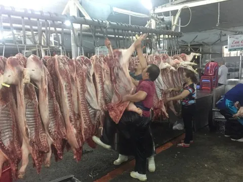 Giá heo hơi hôm nay, 10-3: Heo mảnh tại chợ đầu mối tiếp tục rớt mạnh