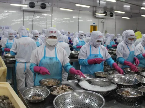 Xuất khẩu nông, lâm, thủy sản có thể giảm hàng tỉ USD vì xung đột ở Trung Đông