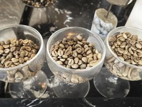 Nghịch lý: Nước không trồng cây cà phê nào lại có nhiều thương hiệu cà phê mạnh toàn cầu